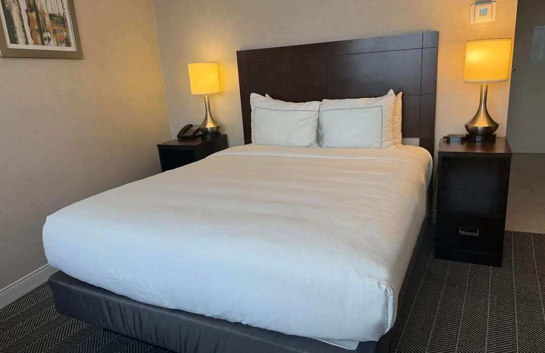 The Brookhaven Atlanta Hotel-1
